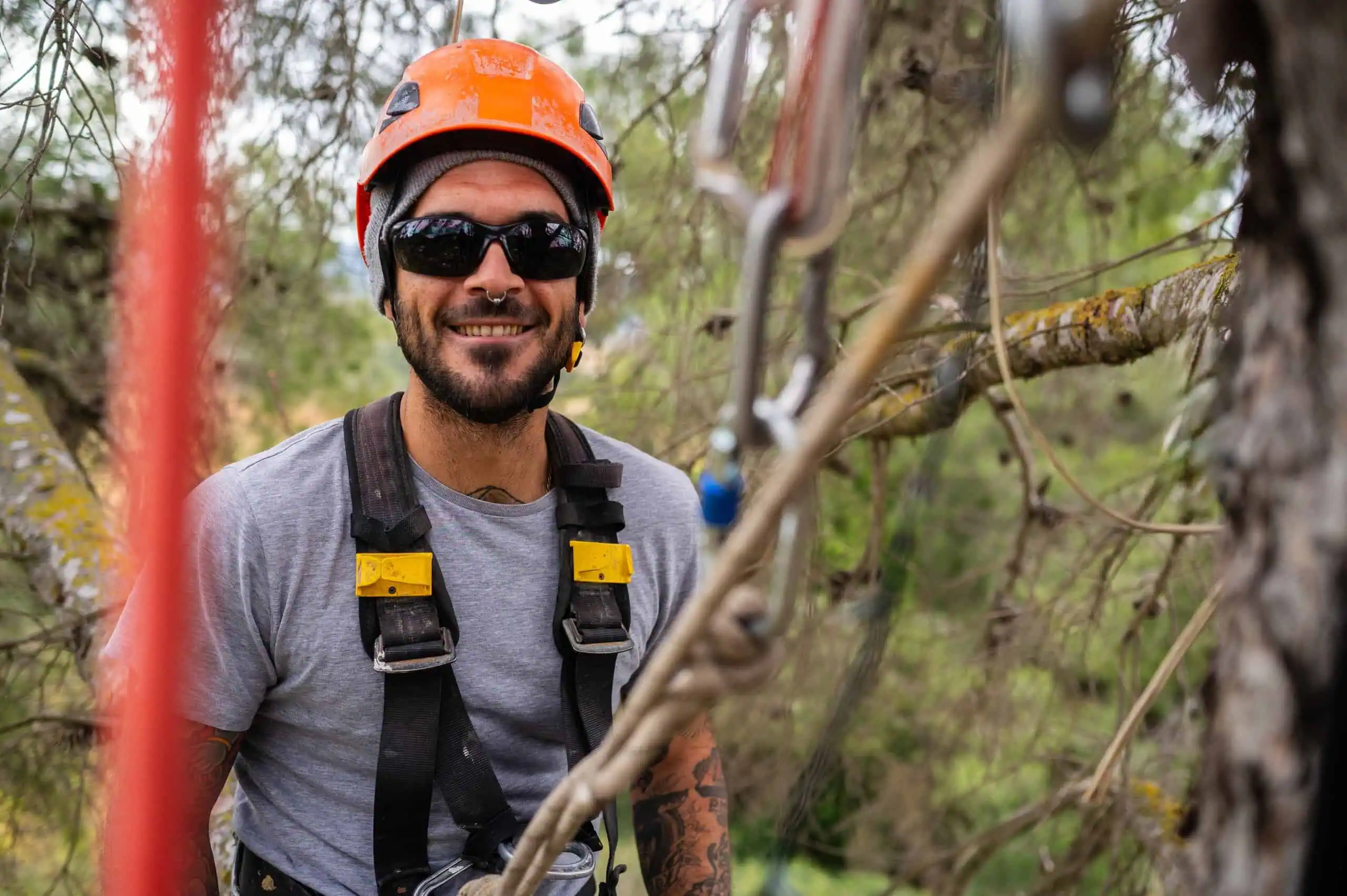 Arborist Insurance Massachusetts